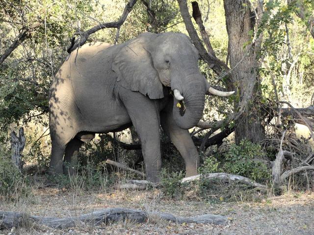 Mosi-oa-Tunya National Park